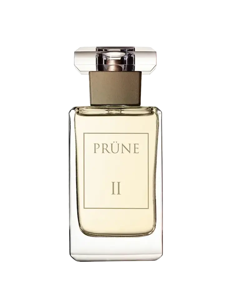EAU DE PARFUM PRUNE II (BRONCE - 50 ML - VAJA) CANNON - foto 2