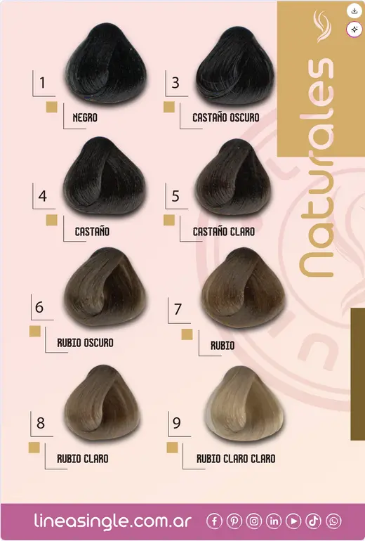 Screenshot 2025-12-10 at 13-06-09 Carta de Color Línea Single. Color Intensive - Coloración Crema para el Cabello. PDF.webp
