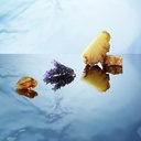 	BANDERAS KING OF SEDUCTION MEN