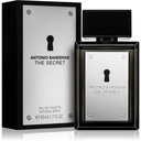 BANDERAS THE SECRET MEN X50V EDT