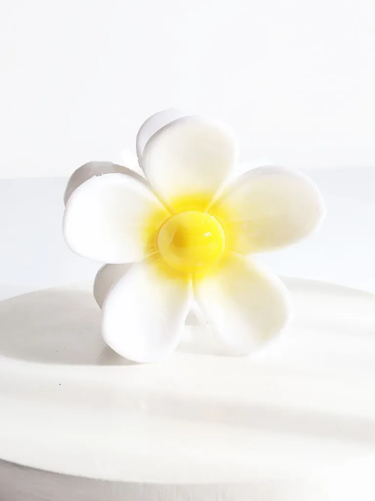 PINZA HAWAIANA CENTRO P/BRILLO CAREY