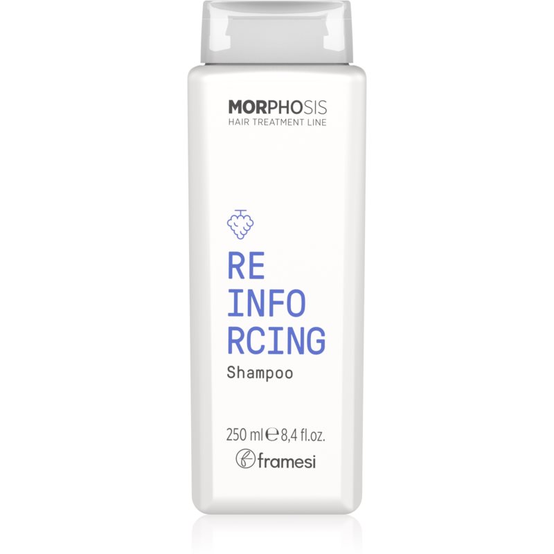 MORPHOSIS REINFORCING SHAMPOO CABELLO GRASO (250 ML - BOTELLA)
