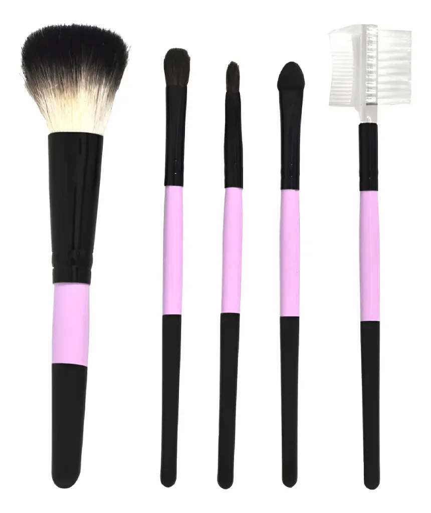SET DE BROCHAS CHICO BICOLOR (ROSADOS - 5 PIEZAS - BOLSA)