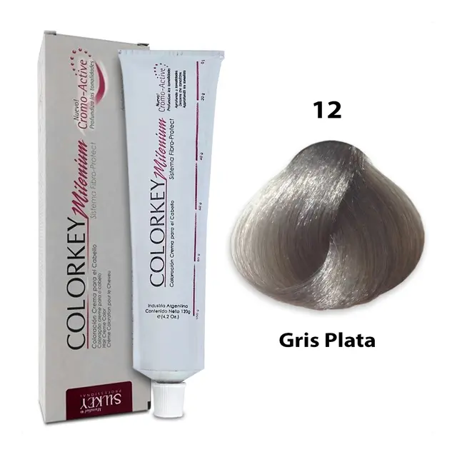 COLORKEY MILENIUM GRIS PLATA (12 - 120 GR - POMO)