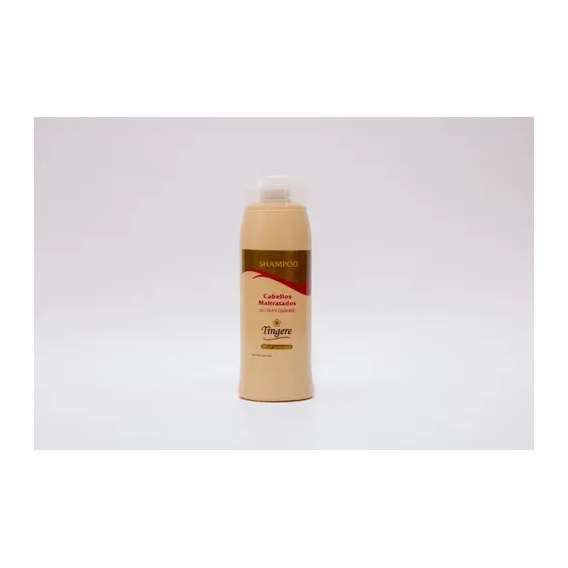 SHAMPOO TINGERE CABELLOS MALTRATADOS (300 CC. - BOTELLA) TINGERE