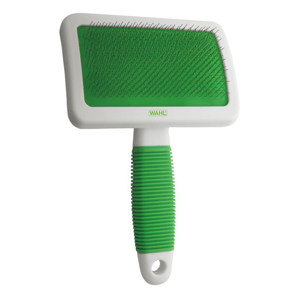 CARDINA EXTRA GRANDE  (1)