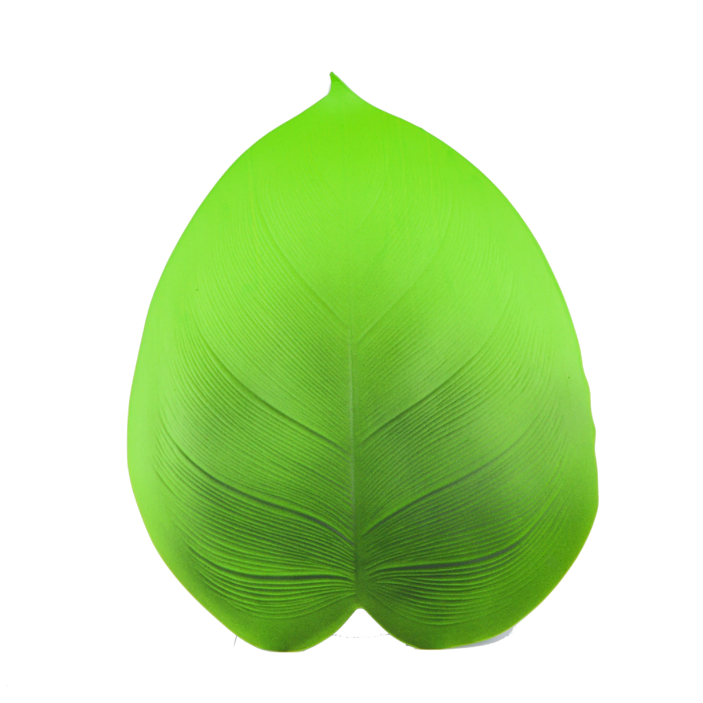 INDIVIDUAL HOJA PARAISO